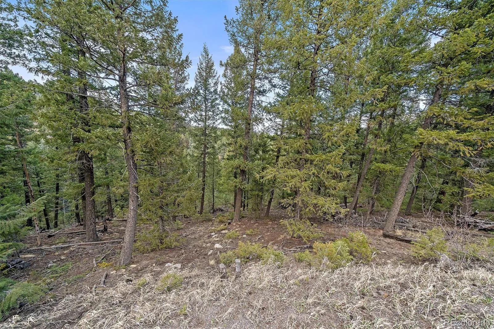 Evergreen, Colorado 80439, United States, ,Land,Pending,19929