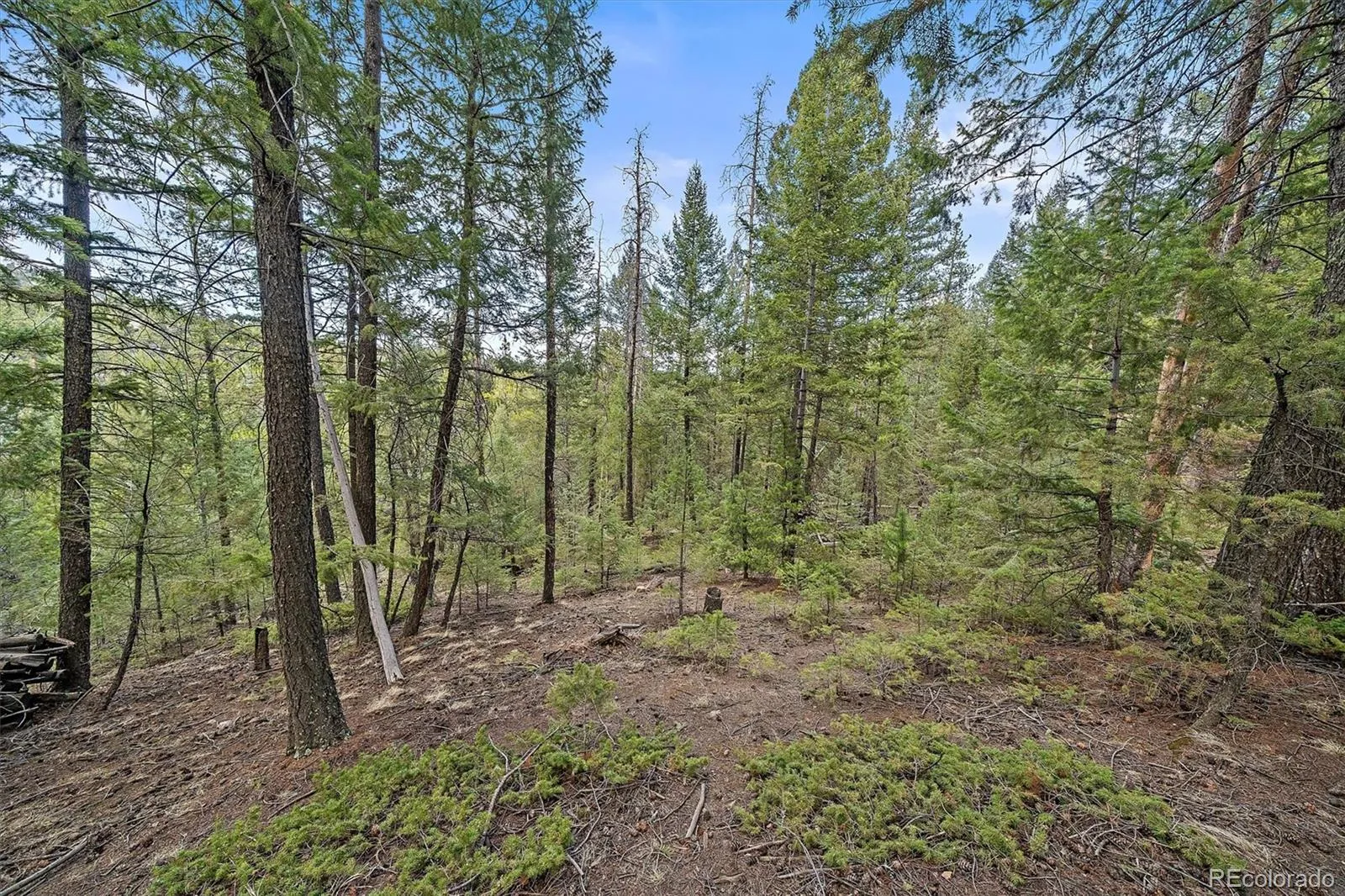 Evergreen, Colorado 80439, United States, ,Land,Pending,19929