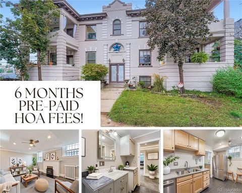 951 N Corona Street 5 Denver CO 80218