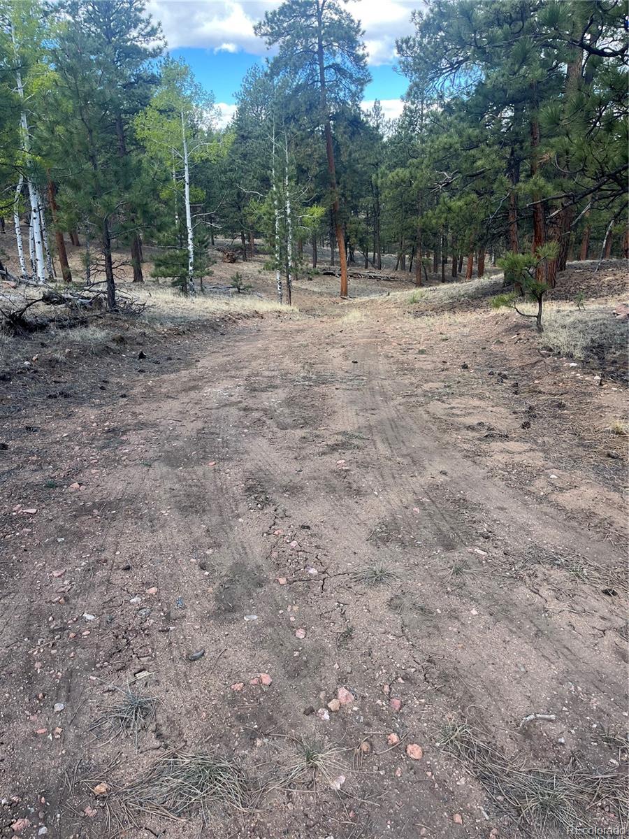 185 Sioux Trail