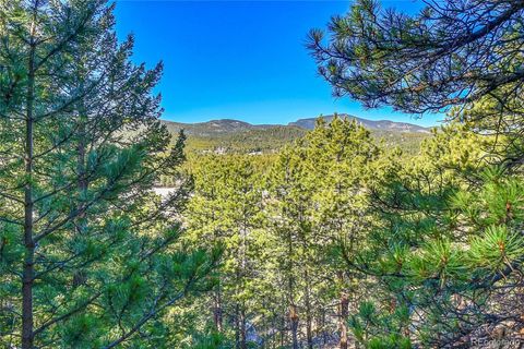 27292 Ridge Trail Conifer CO 80433