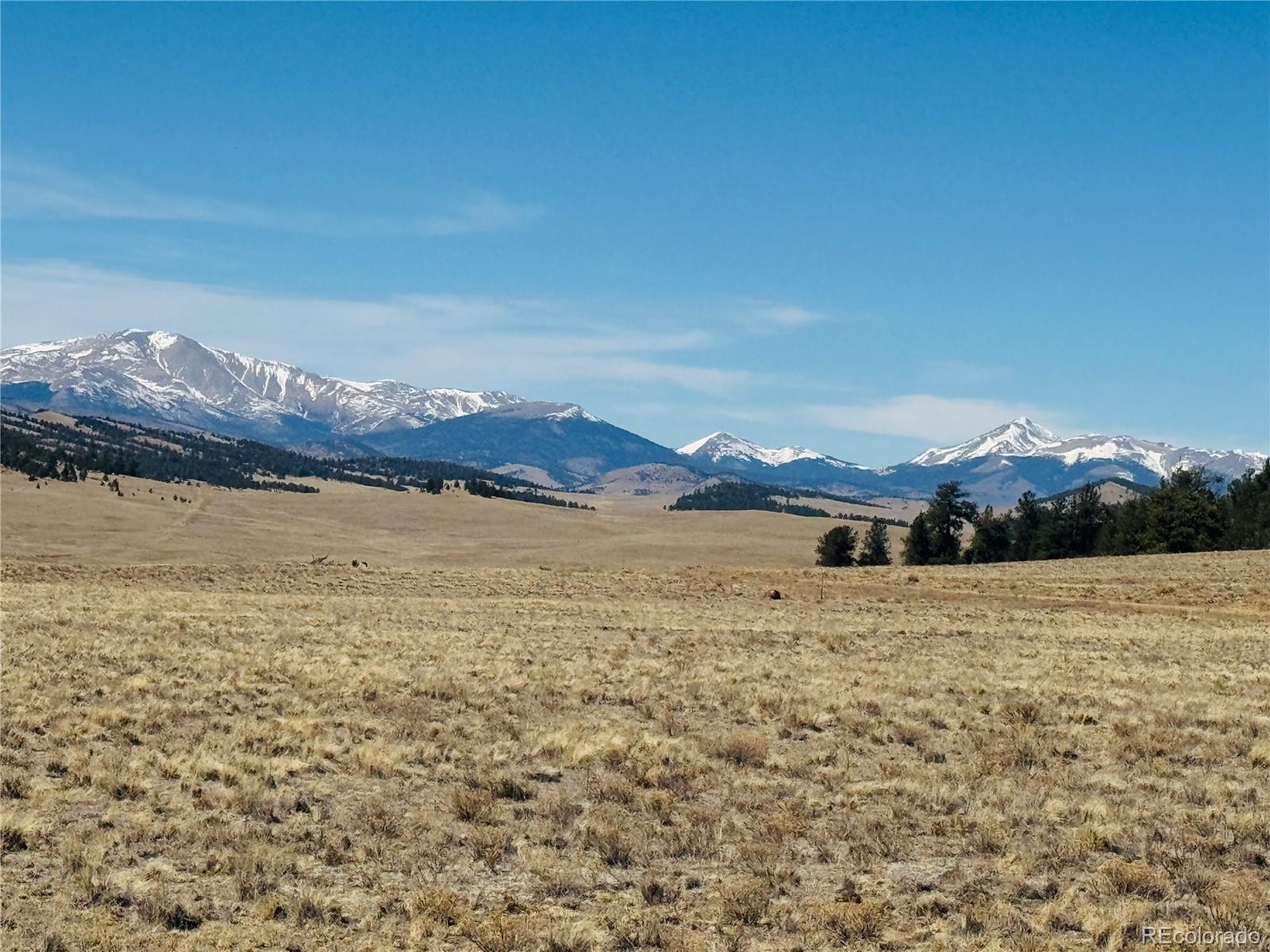 Photo 1 of 13 — 3067 Fitzsimmons Road, Hartsel, CO 80449