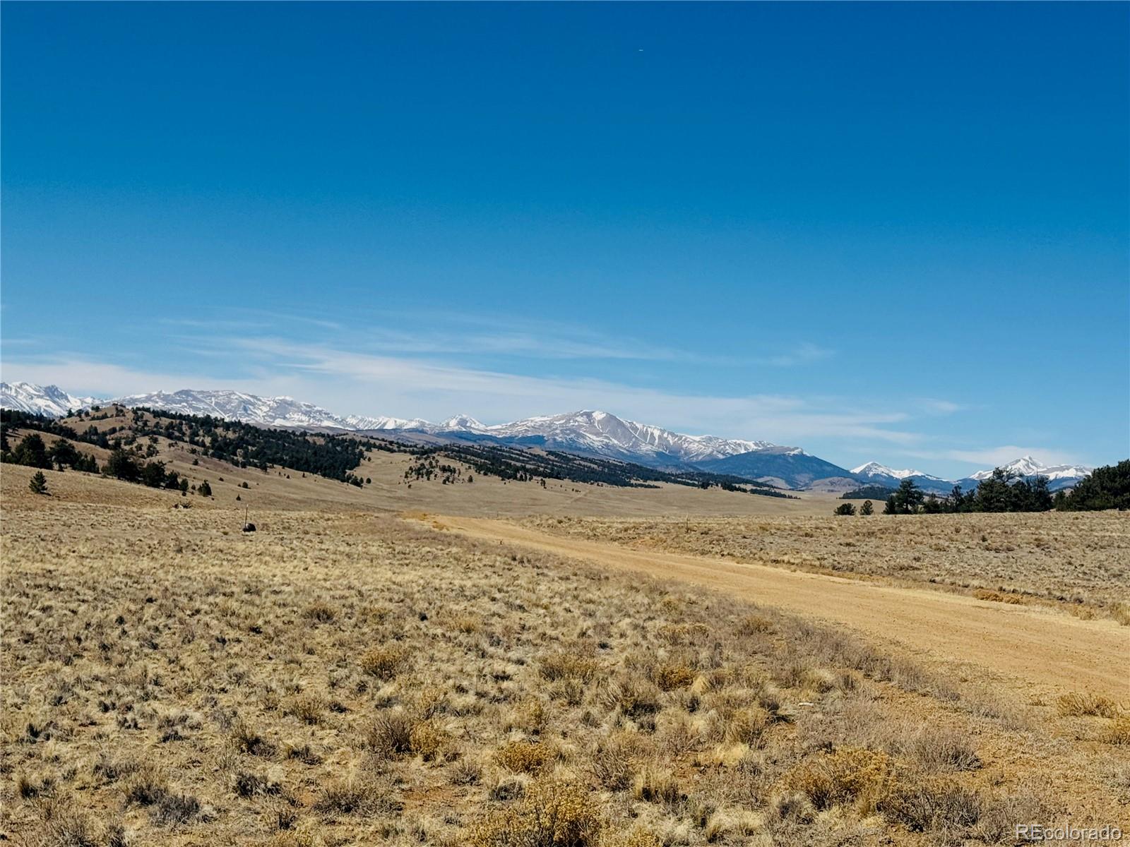 3067 Fitzsimmons Road