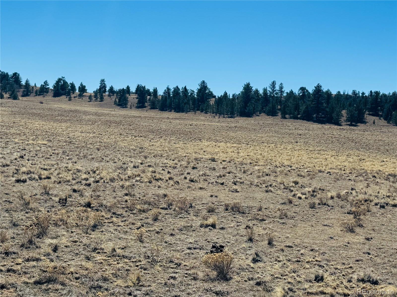 3067 Fitzsimmons Road