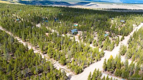 247 Juniper Drive Twin Lakes CO 80461