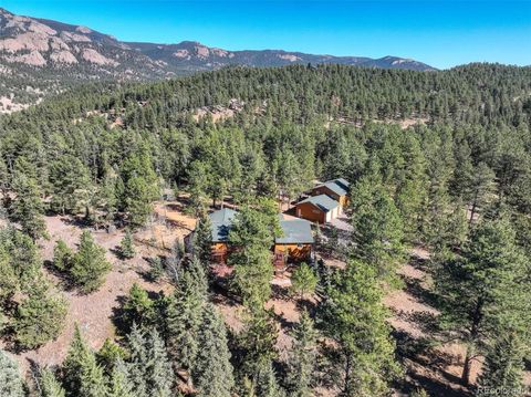 225 Spring Drive Pine CO 80470