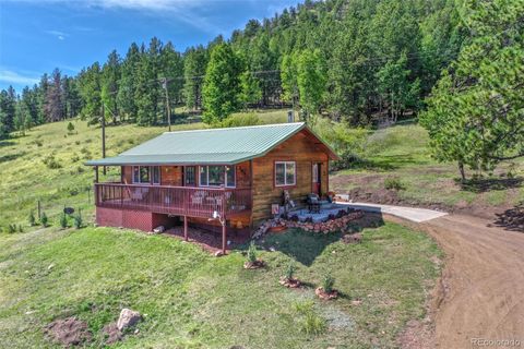 265 Independence Road, Cripple Creek, CO 80813 - #: 4530021