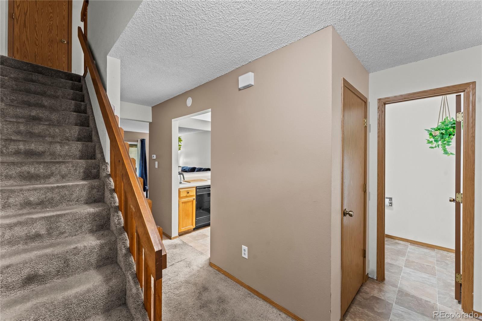 4273 Hunting Meadows Circle 2