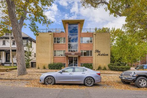 1151 N Marion Street 104 Denver CO 80218