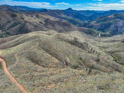 770 Holmes Gulch Way Bailey CO 80421