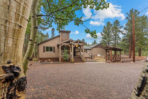 263 Dory Lakes Drive Black Hawk CO 80422