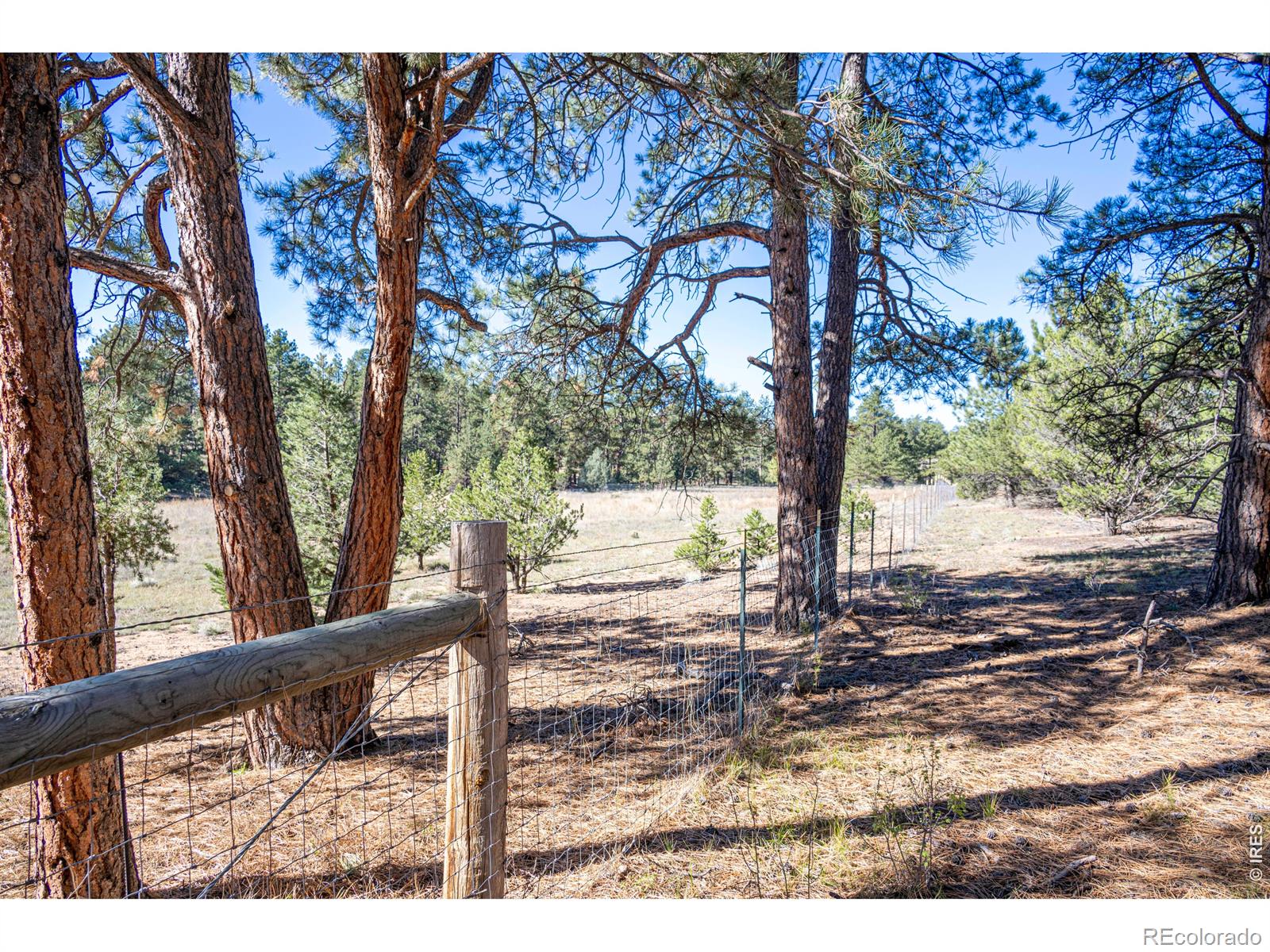 1563 19th Trail