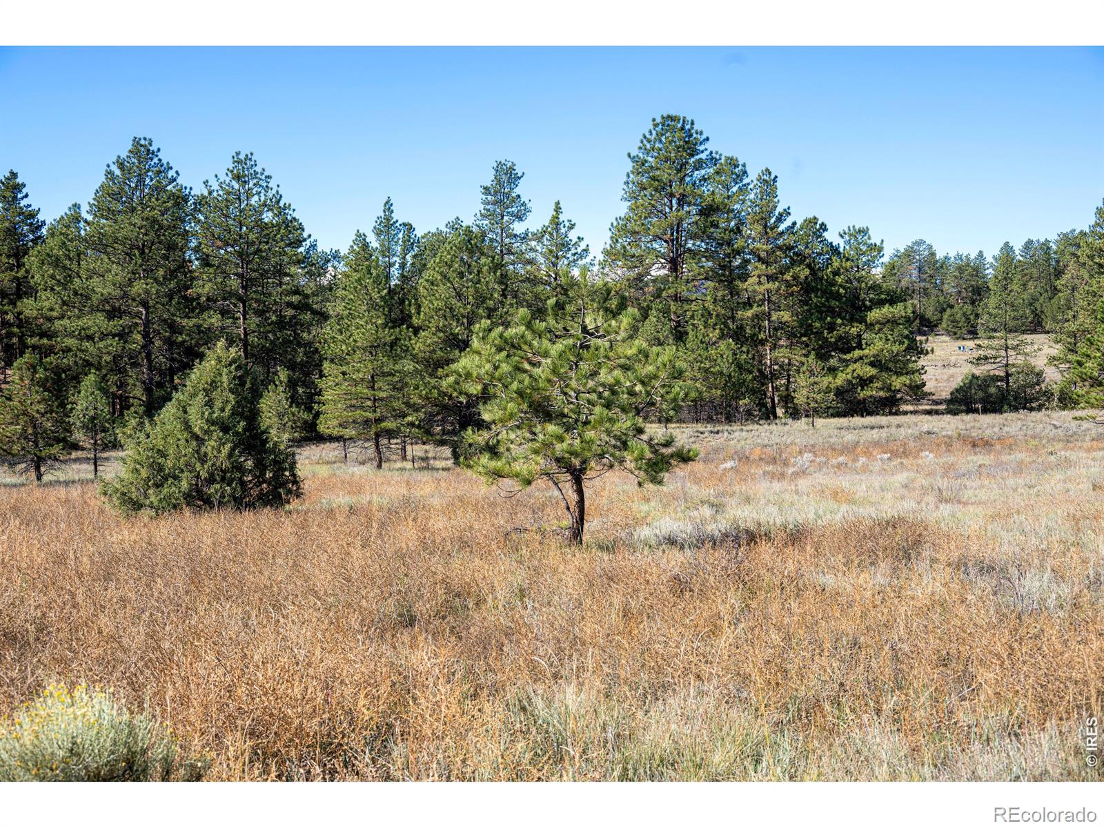 1563 19th Trail