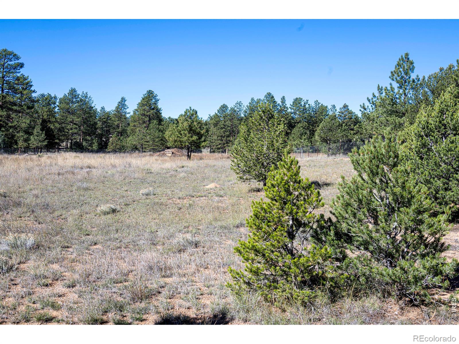 1563 19th Trail