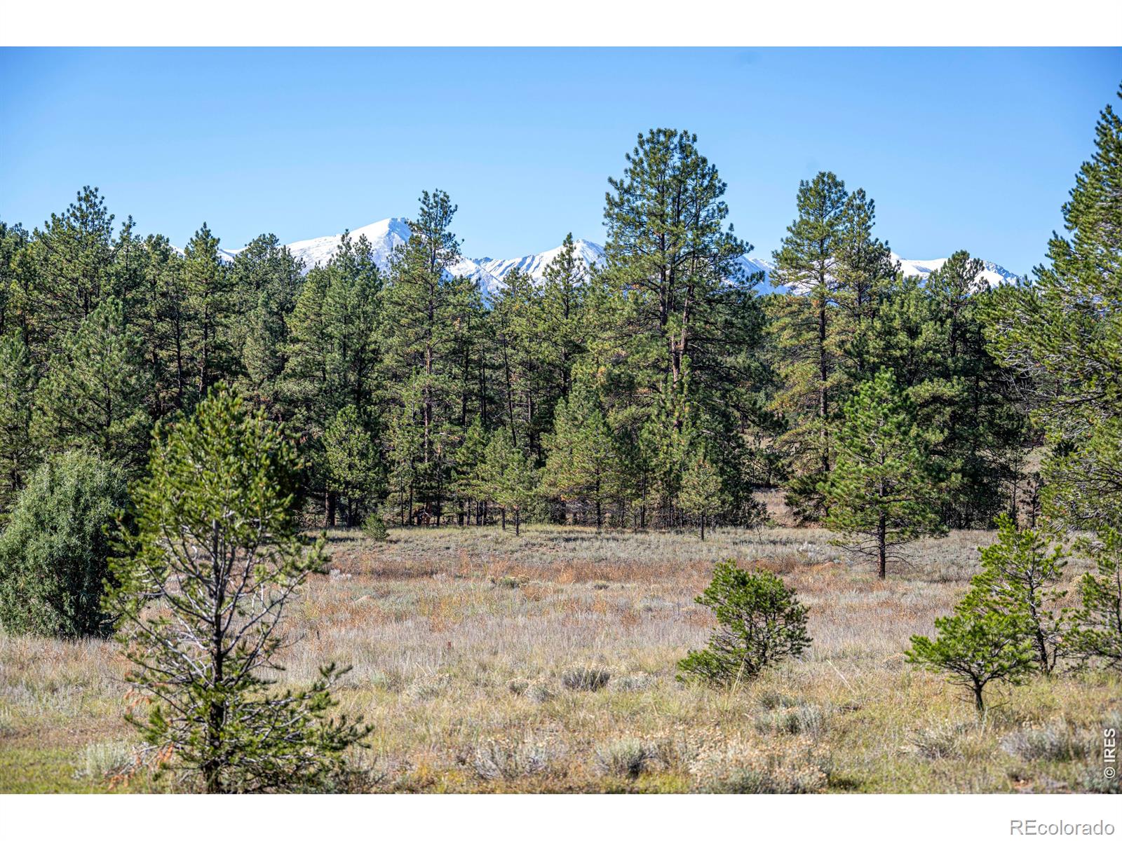 1563 19th Trail