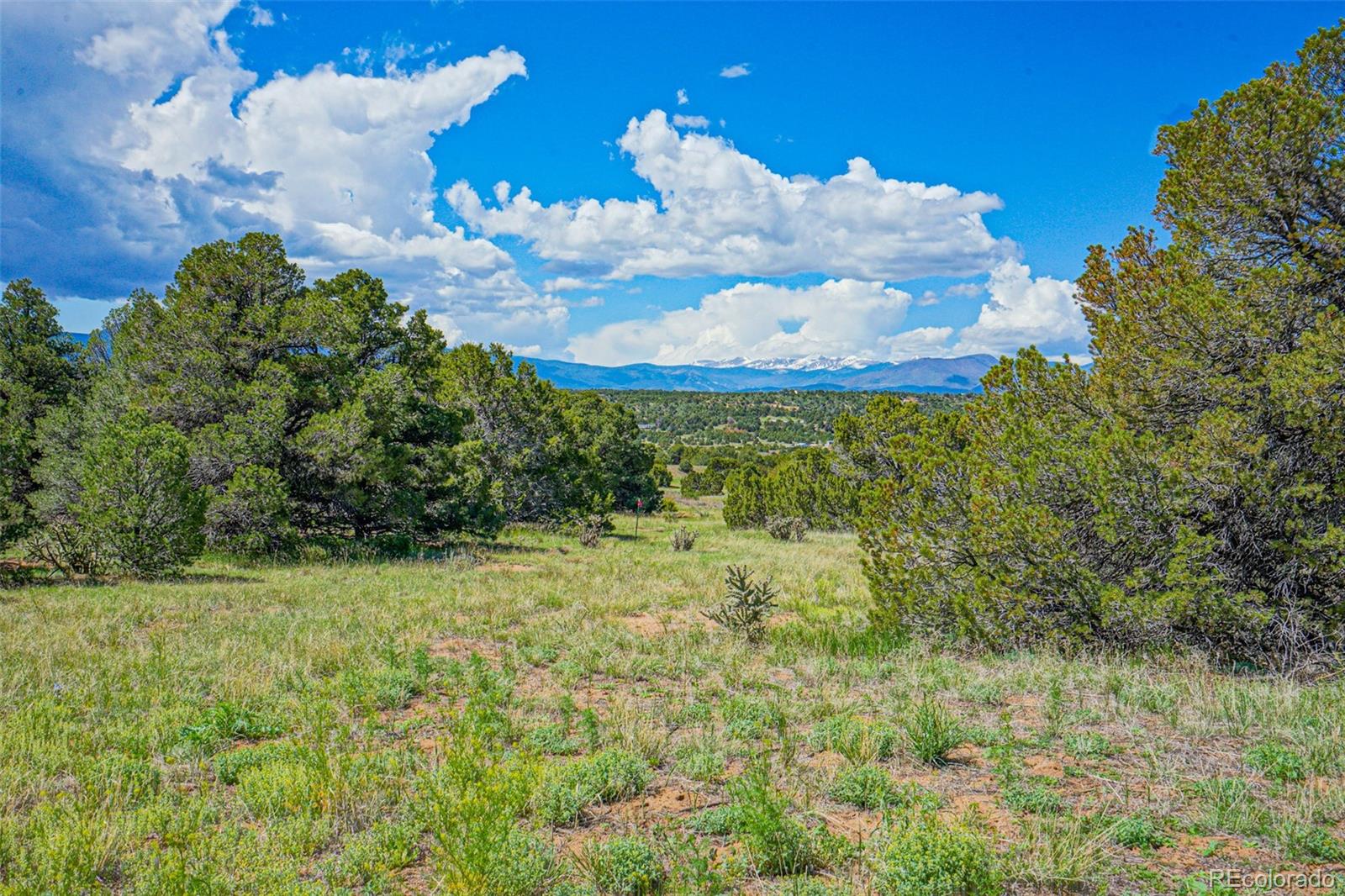 View Walsenburg, CO 81089 land