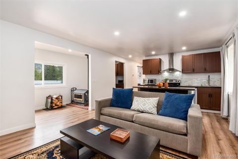 192 Little Creek Road Idaho Springs CO 80452