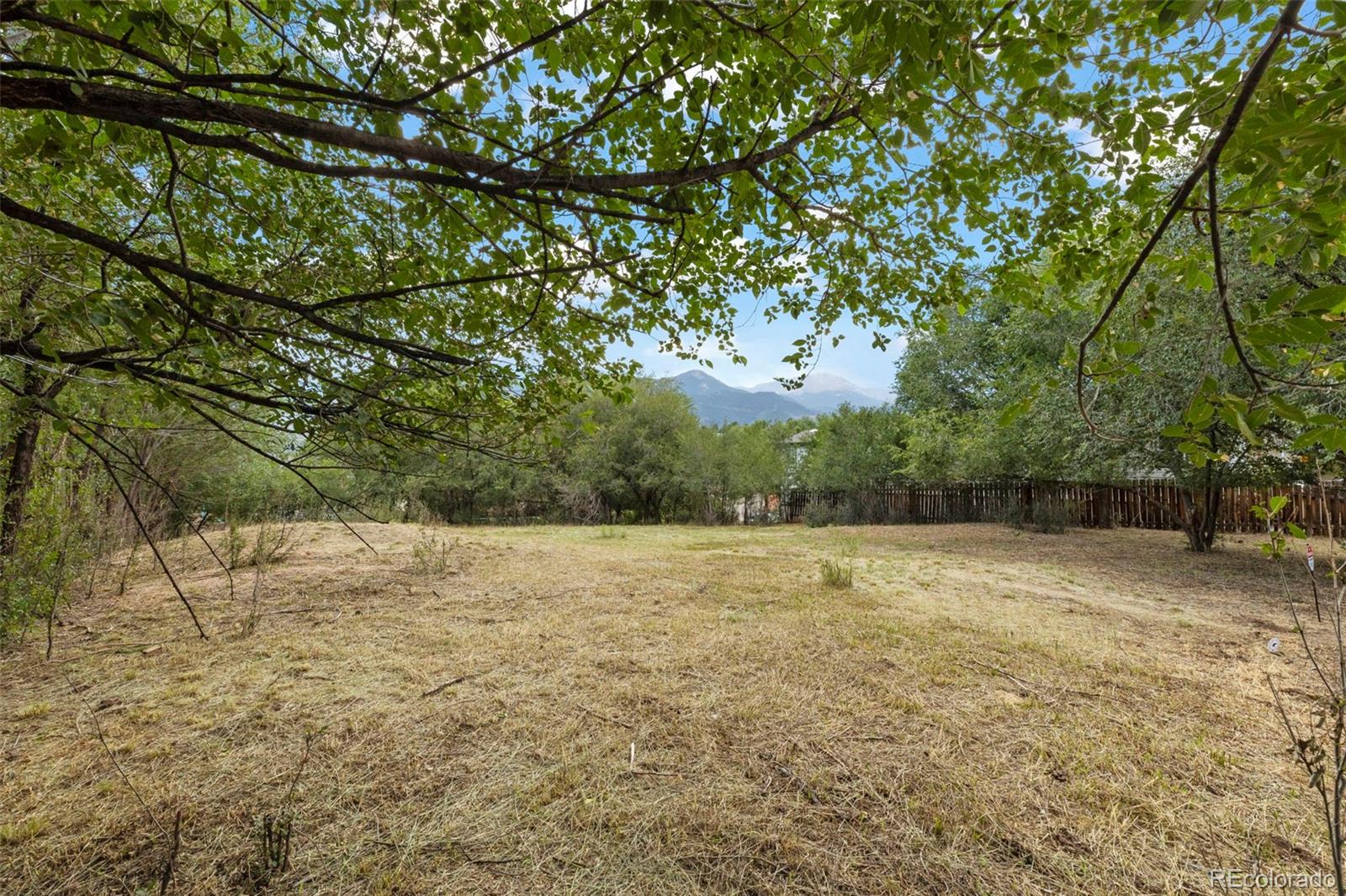 2411 W Cache La Poudre Street