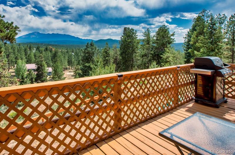 235 Ute Trail