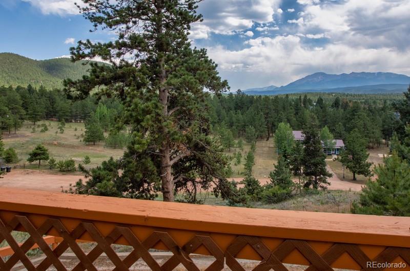 235 Ute Trail