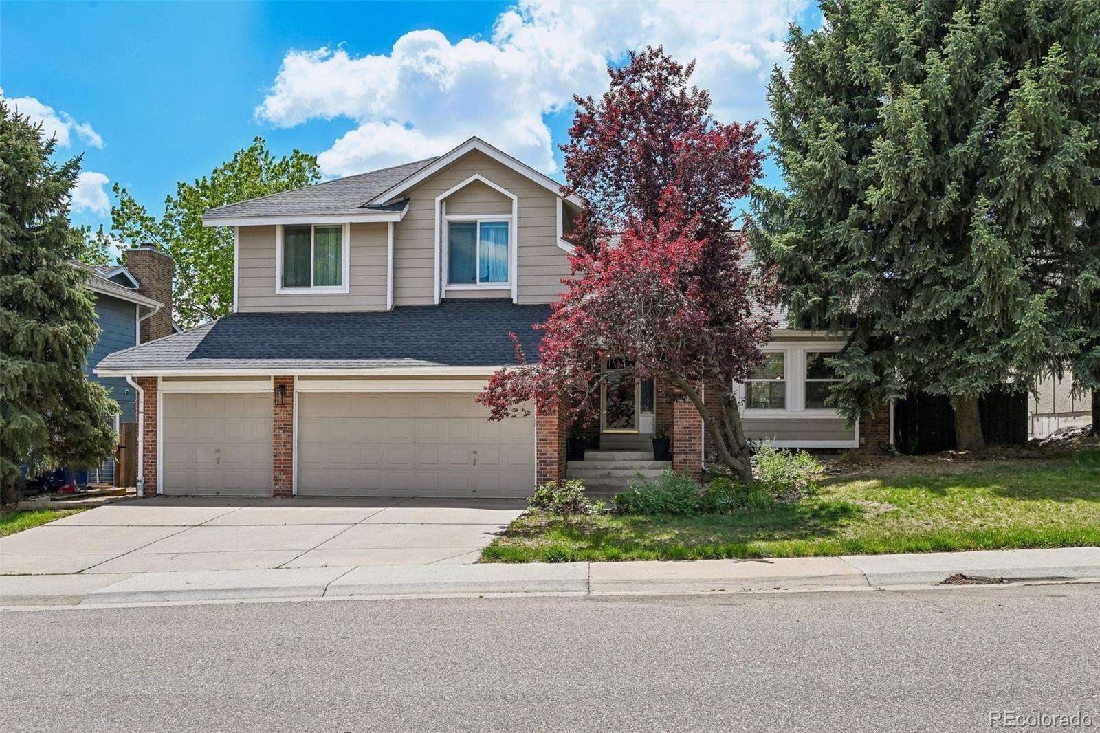 8641 Snowbrush Lane