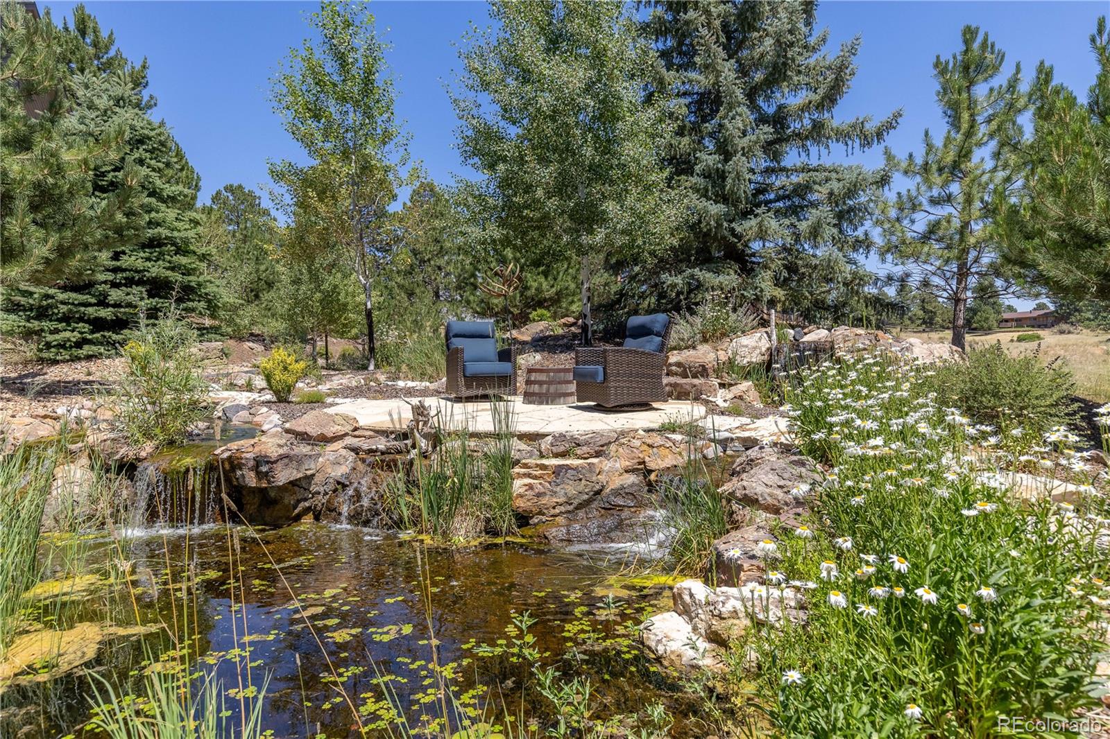 8361 Piney Creek Road