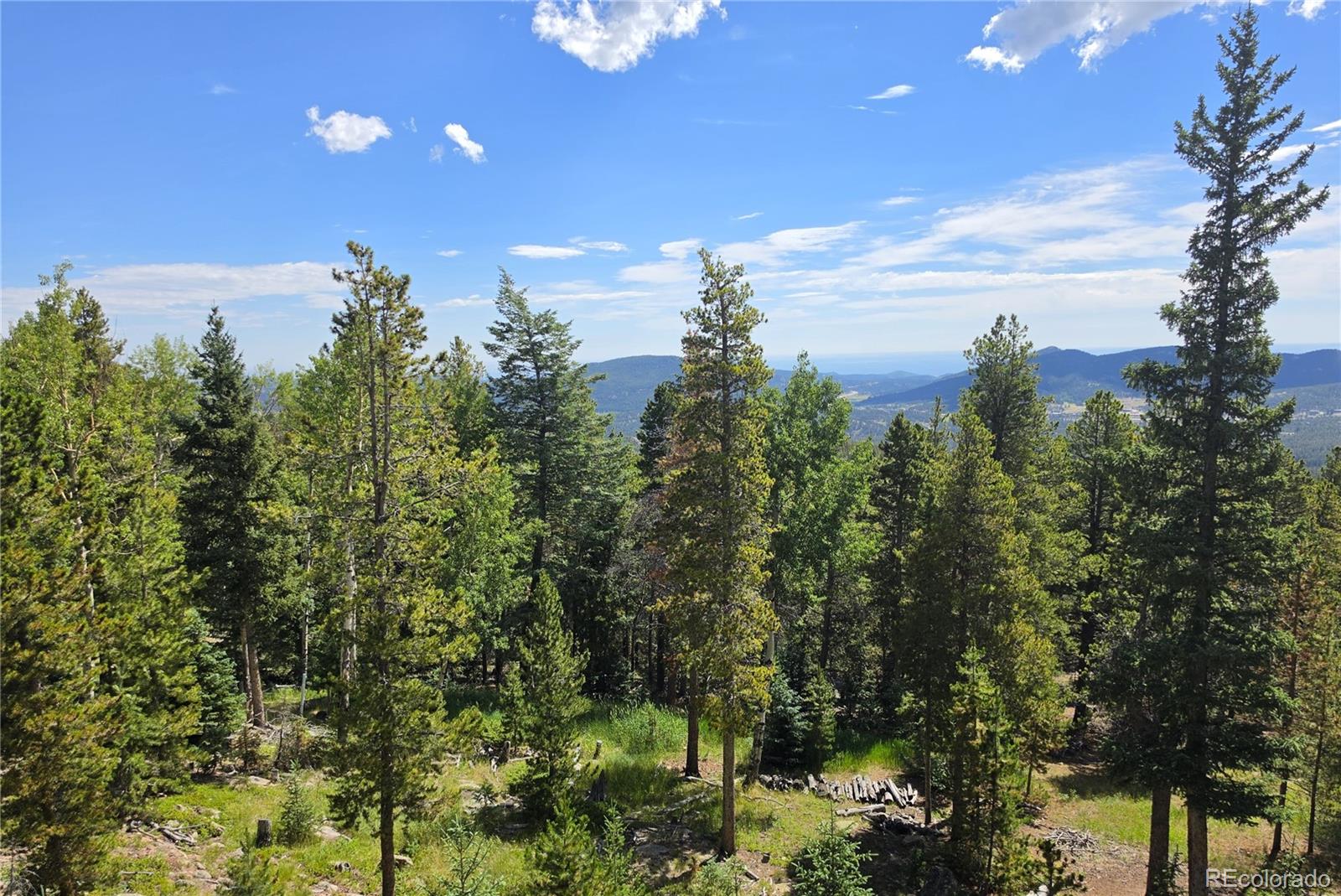 31547 Conifer Mountain Drive