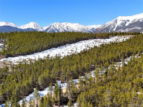 1033 Sequoia Drive Twin Lakes CO 80461
