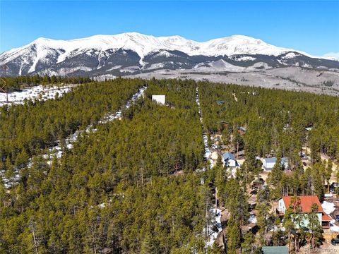 1033 Sequoia Drive Twin Lakes CO 80461