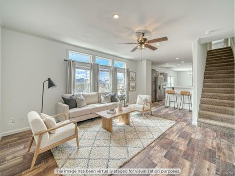 902 W 6th Street Leadville CO 80461