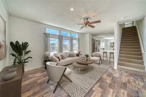 902 W 6th Street Leadville CO 80461