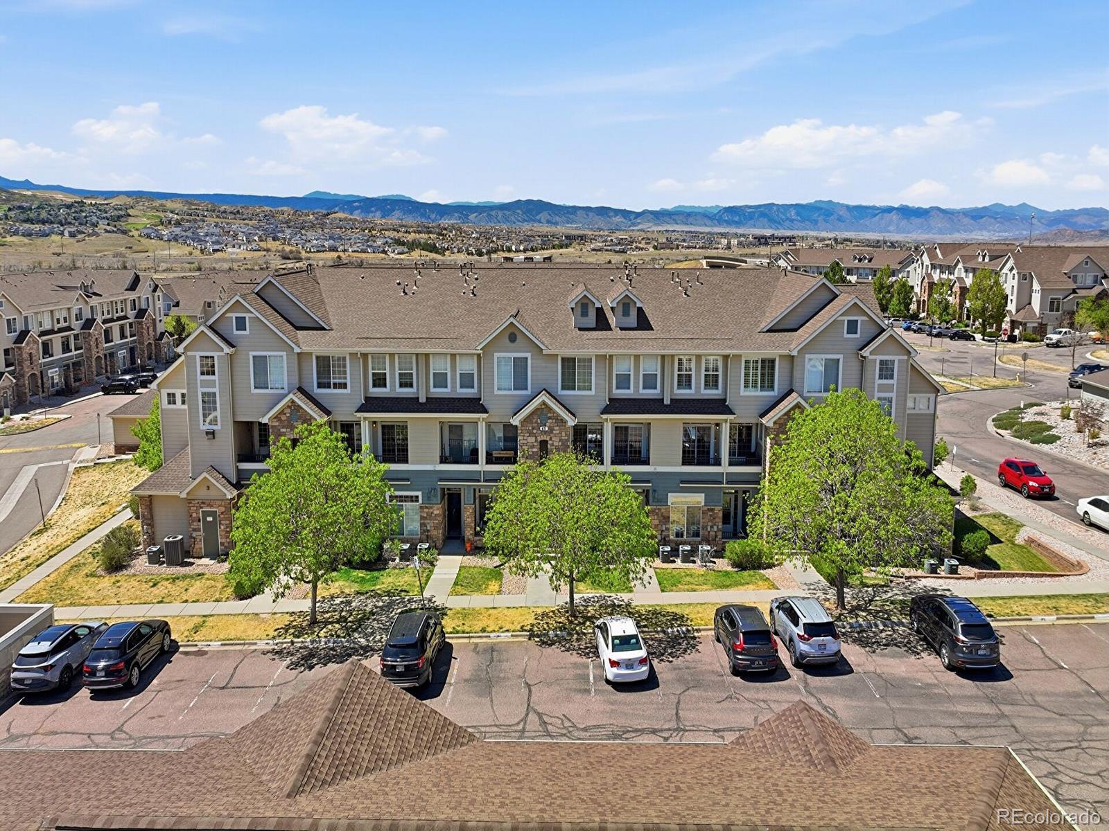 431 Black Feather Loop 810