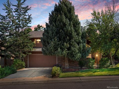 8260 Lodgepole Trail Lone Tree CO 80124