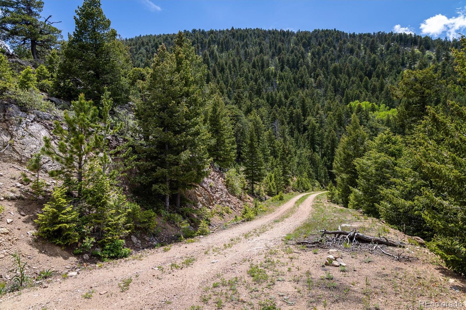 1259 Chute Road