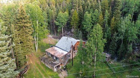 11173 S Barney Gulch Road Conifer CO 80433
