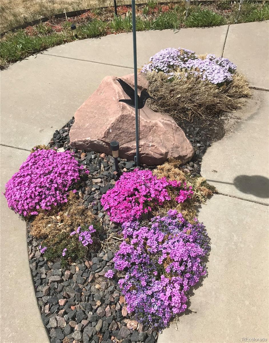 12884 Capital Creek Street