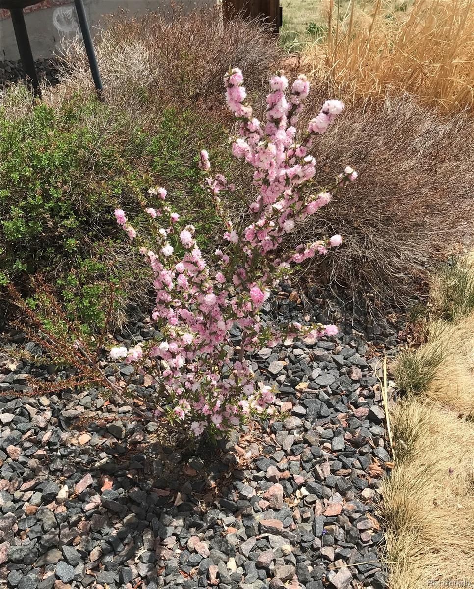 12884 Capital Creek Street