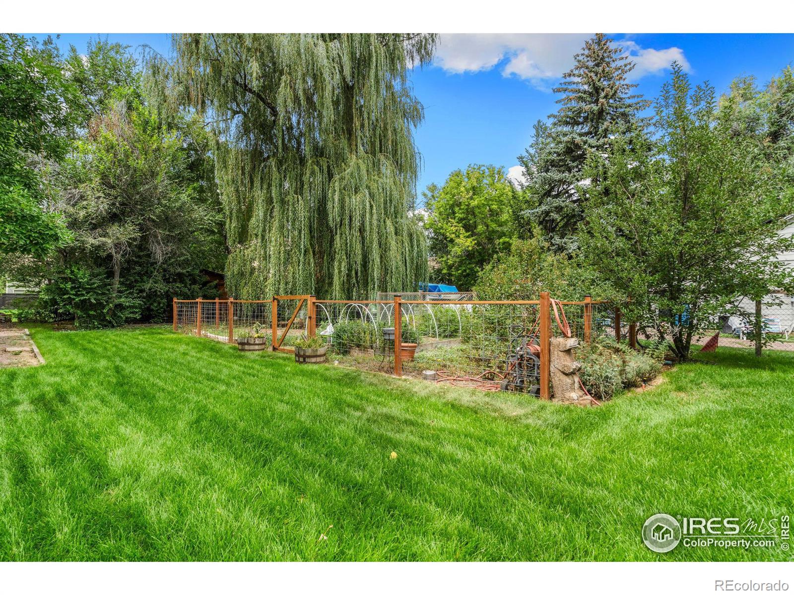 119 N Shields Street, Fort Collins, CO, 80521 4 119 N Shields Street