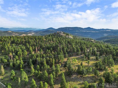 26541 Richmond Hill Road Conifer CO 80433