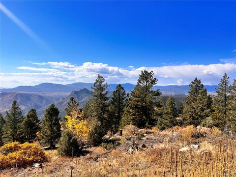 13640 Old Paint Trail Conifer CO 80433