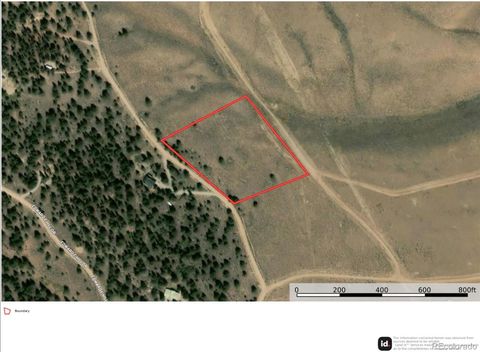 720 Carmen Road Twin Lakes CO 81251