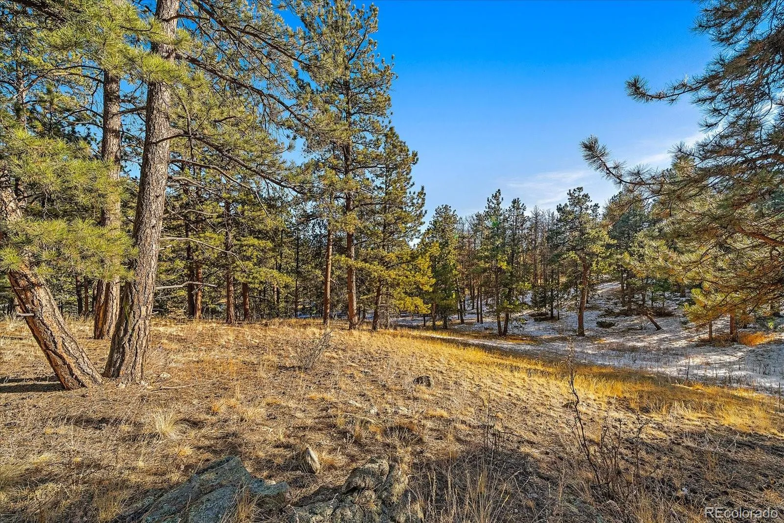 Pine, Colorado 80470, United States, ,Land,Active,68246