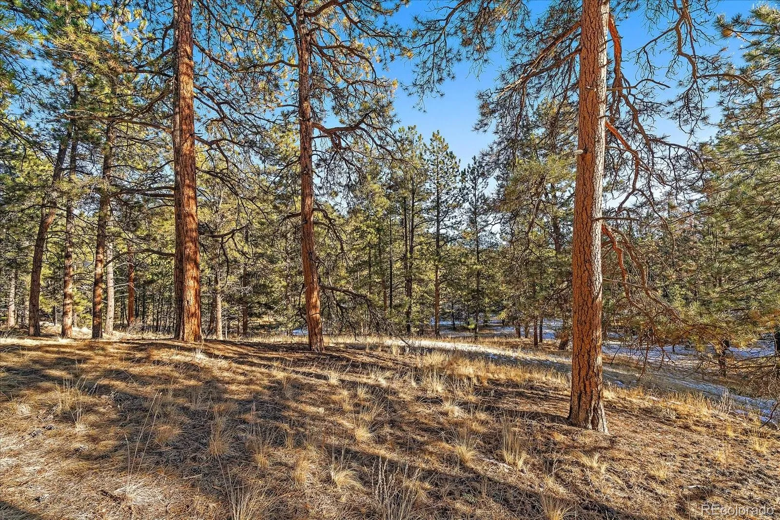 Pine, Colorado 80470, United States, ,Land,Active,68246