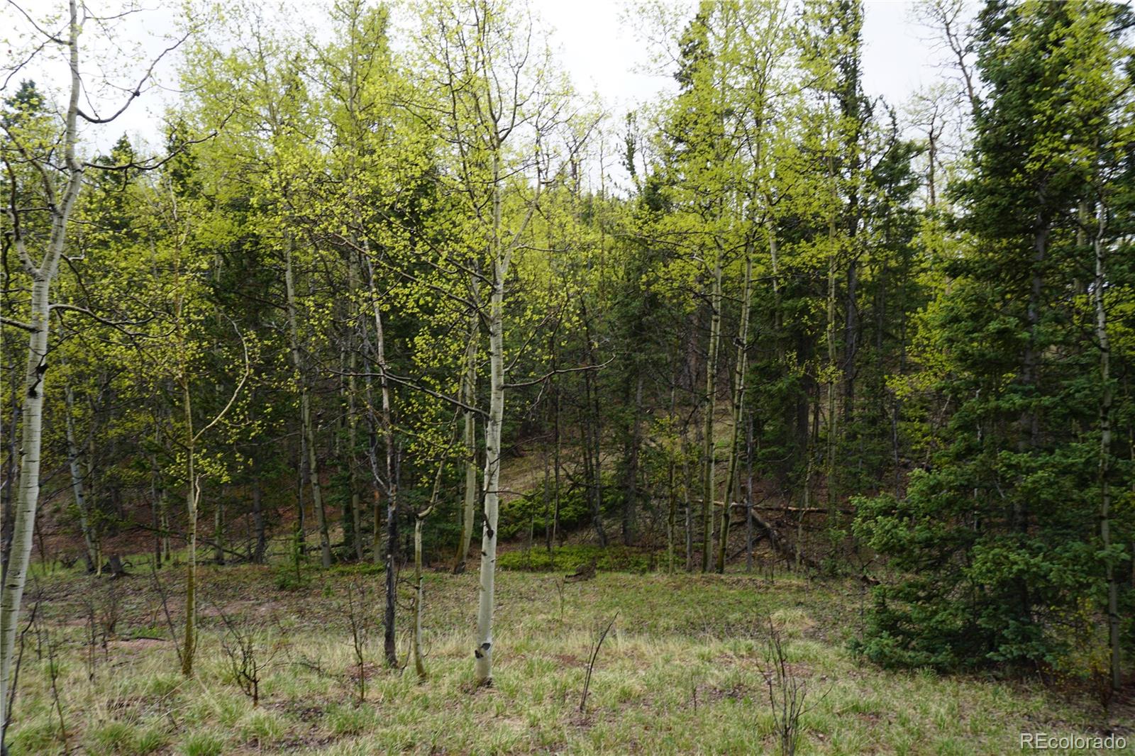 Vacant Land