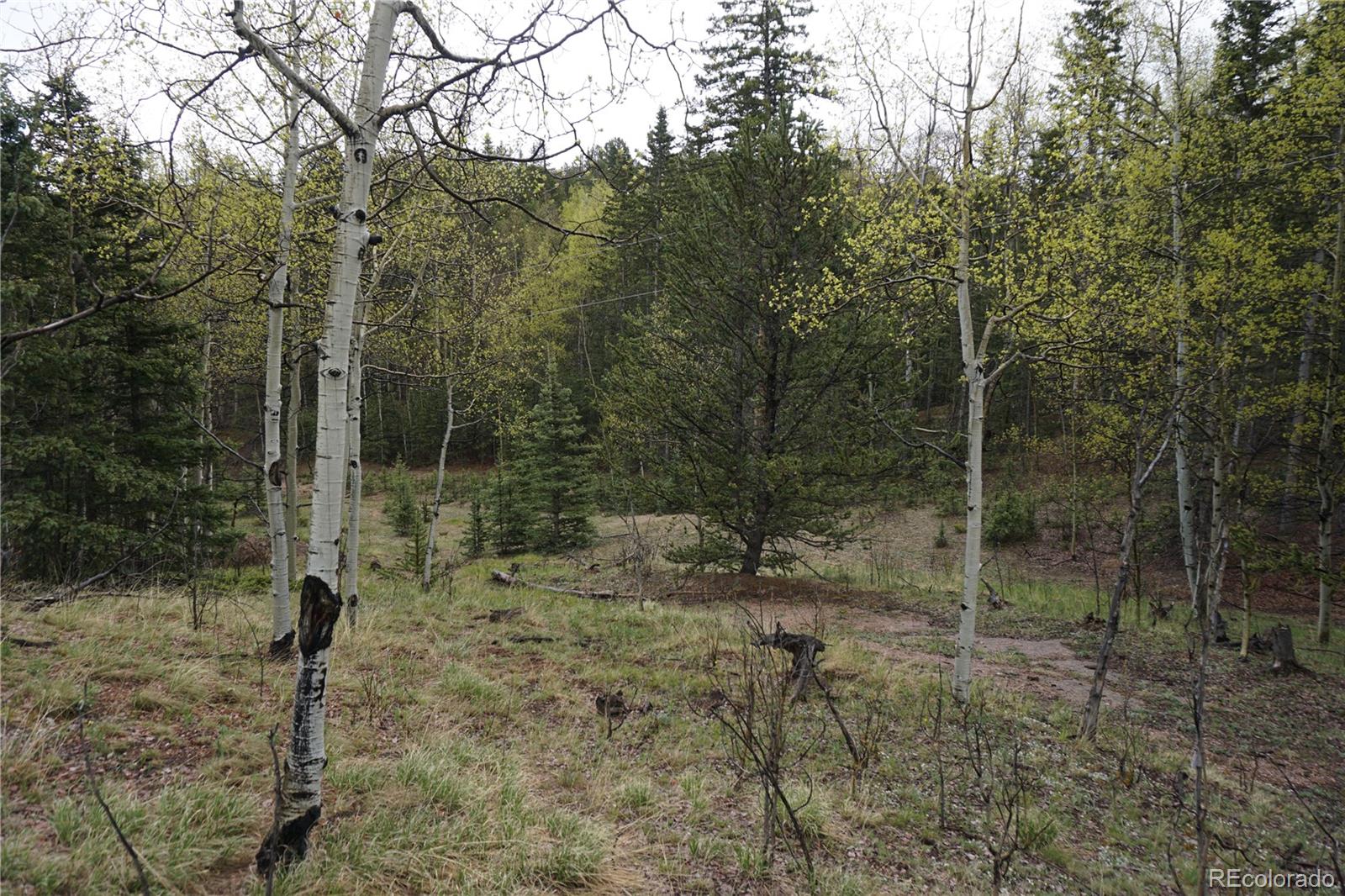 Vacant Land