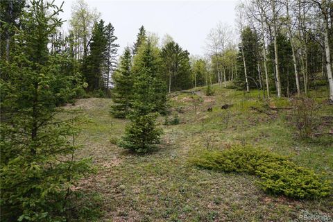 Vacant Land Cripple Creek CO 80813