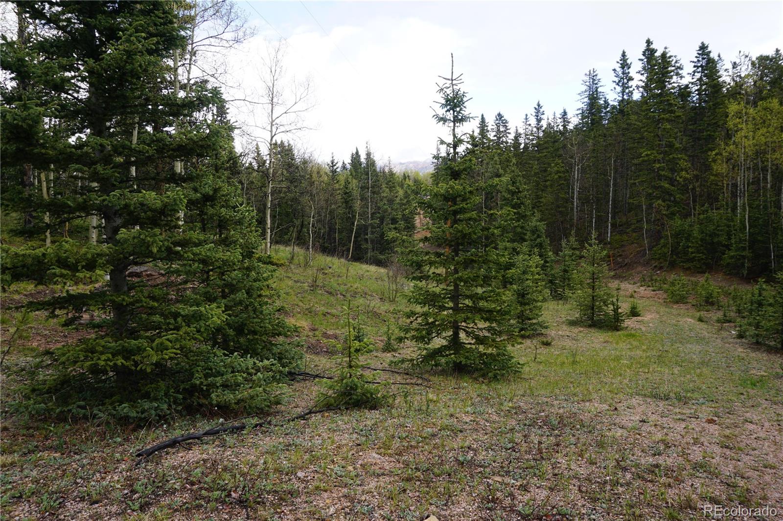 Vacant Land