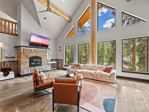 433 97 Circle Blue River CO 80424