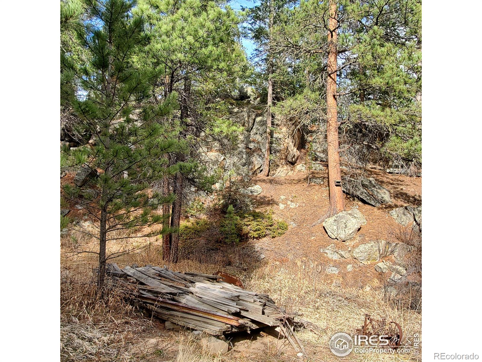 331 Fox Creek Road, Glen Haven, CO, 80532 4 331 Fox Creek Road
