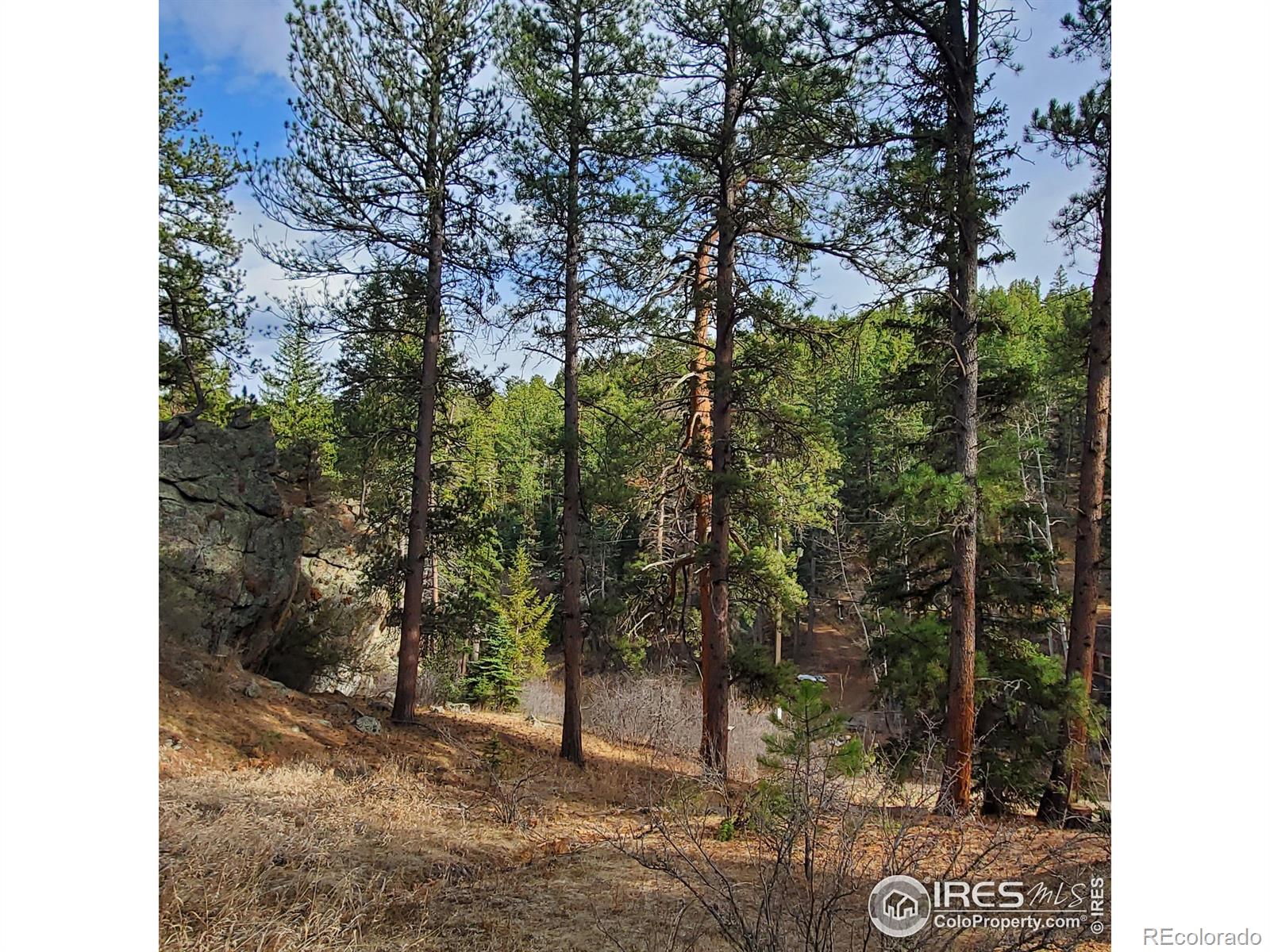 331 Fox Creek Road, Glen Haven, CO, 80532 3 331 Fox Creek Road